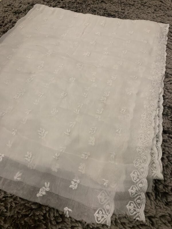 Chiffon chickenkari Dupatay - Image 2